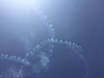 Low angle view of bird flying in sky