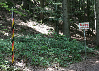 Road sign by trees in forest