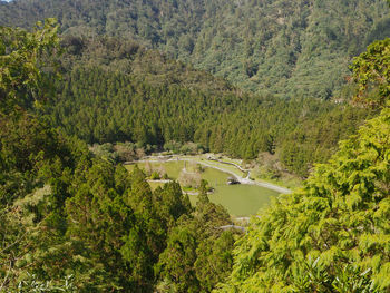 High angle view of lake amidst trees in forest