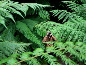 Man photographing nature