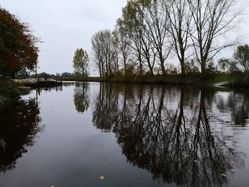 Reflection of trees in lake against sky