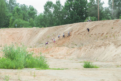 People on dirt road amidst trees and plants