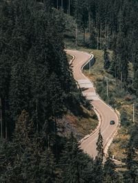Windy mountain road through evergreen forest