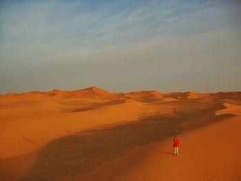 Scenic view of desert