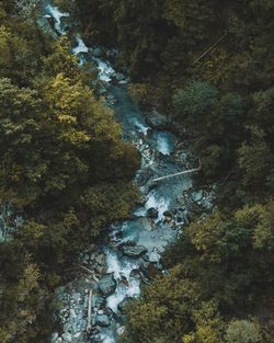 High angle view of river amidst trees in forest