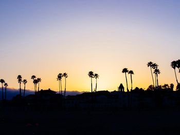 Silhouette of palm trees at sunset