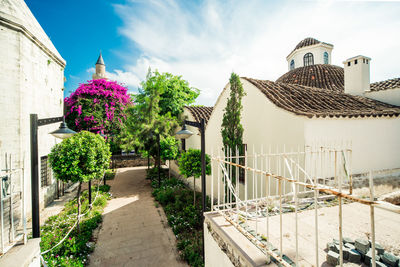 High angle view of empty footpath amidst traditional houses