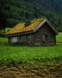House on field