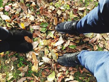 Low section of man standing on fallen leaves