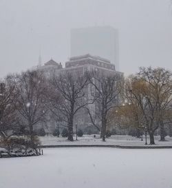 Snow covered trees and buildings against sky