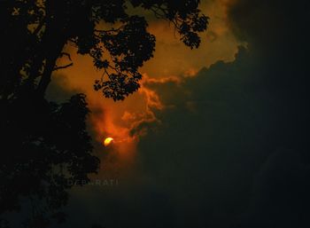 Low angle view of silhouette trees against sky at sunset