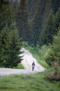 Rear view of man walking on road