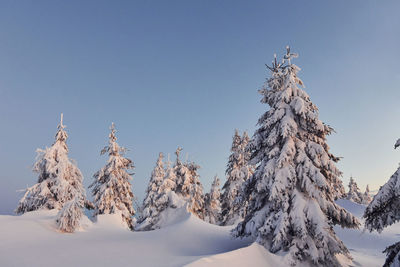 Snow covers lot