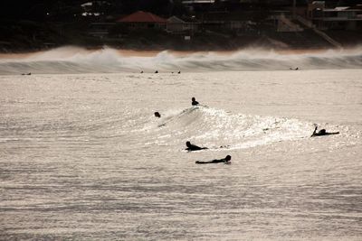 People swimming in sea