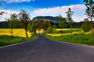 Road amidst trees on field against sky