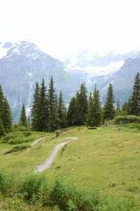 Scenic view of trees and mountains against sky