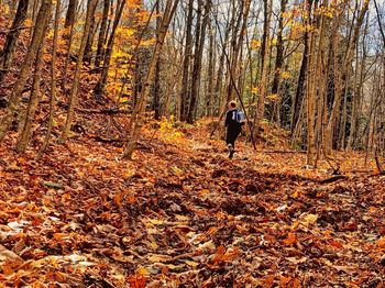 Man standing on tree in forest during autumn