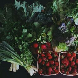 Close-up of red chili peppers