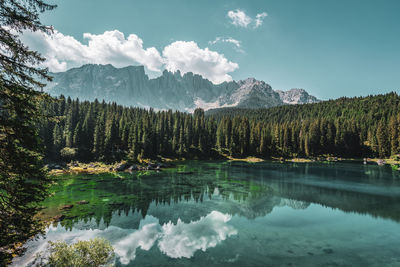 Scenic view of lake by trees against sky