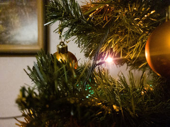 Close-up of illuminated christmas tree