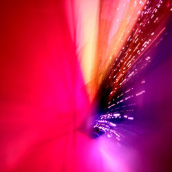 Full frame shot of illuminated pink flower