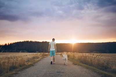 Rear view of man walking with dog at sunset