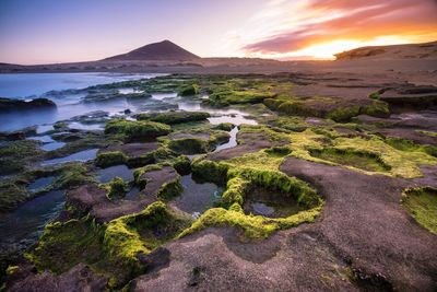 Scenic view of landscape against sky at sunset