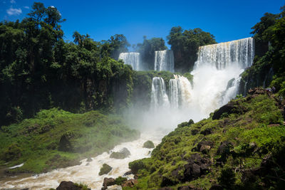 Scenic view of waterfall in forest