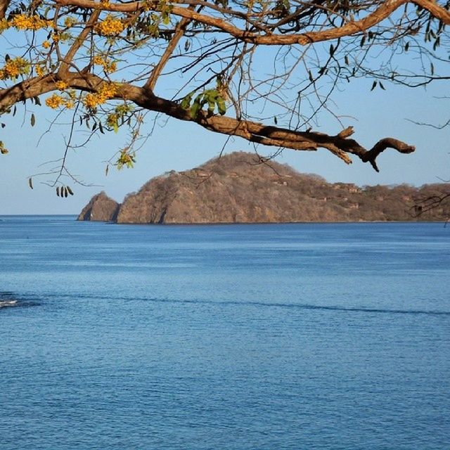 SCENIC VIEW OF SEA BY TREES AGAINST SKY