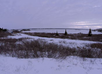 Scenic view of sea against sky during winter