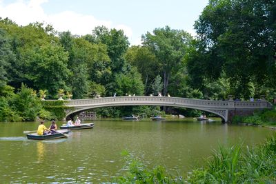 Bridge over river against trees