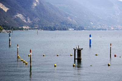 Scenic view of wooden posts in sea