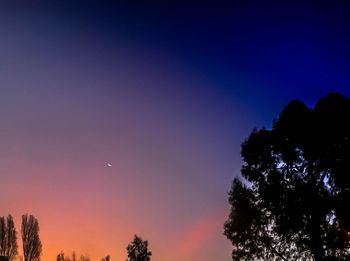 Low angle view of silhouette trees against sky