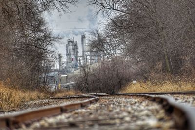 Railroad tracks amidst bare trees during winter