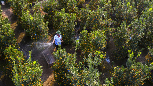 Woman standing amidst trees in forest