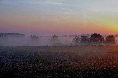 Scenic view of field against sky during sunset