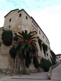 Low angle view of palm tree by building against sky