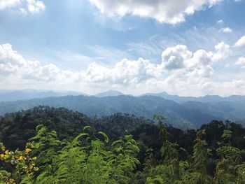 Scenic view of landscape against sky