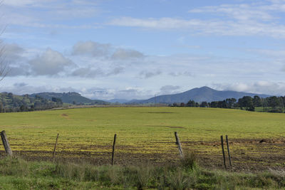 Scenic view of field against sky