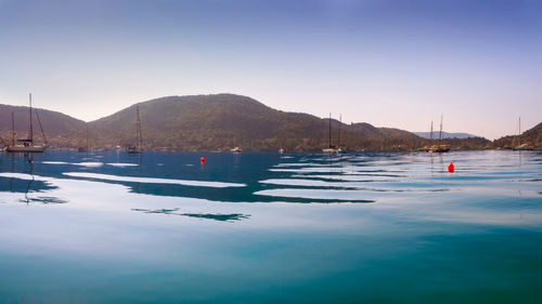 Sailboats moored in sea against clear sky