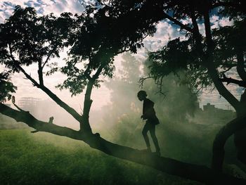 Silhouette girl standing on tree against sky