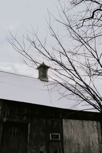 Low angle view of bare tree and building against sky