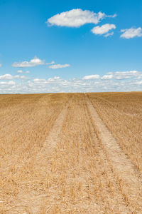 Scenic view of agricultural field against sky