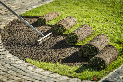 Natural grass turf rolls installation in residential backyard garden. gardening and landscaping them