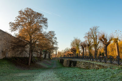 Trees on field against clear sky during autumn