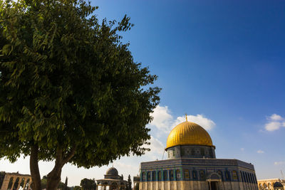 Low angle view of trees and buildings against sky