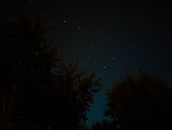 Low angle view of silhouette trees against sky at night