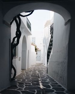 Narrow alley amidst buildings in city