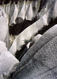 Full frame shot of cat on rock