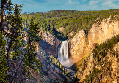 View of waterfall in forest